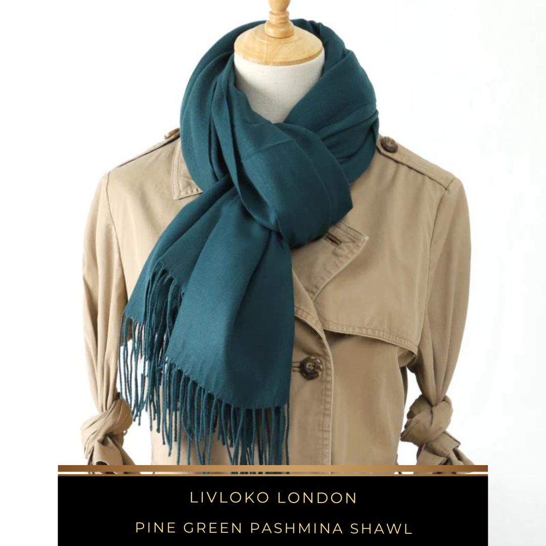 What is so special about Pashmina shawl? - Livloko London